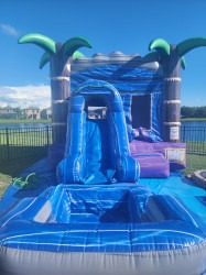 20240623 092312 1719337948 Tropical Purple BOUNCE HOUSE W/SLIDE WET OR DRY RENTALS