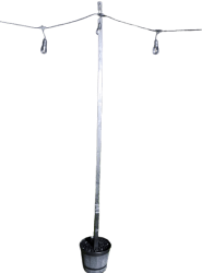 Light Poles